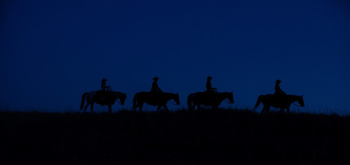 Wyoming Cowgirl