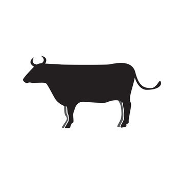 Cow silhouette icon design template vector isolated