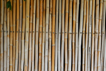 Bamboo pipe background.Wooden background with sections of bamboo canes and shadows.