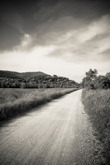 Pathway in Tuscany countryside (Italy - Pisa -Vicopisano)