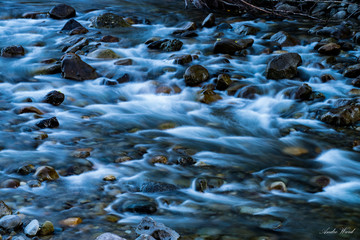 ripples in the water