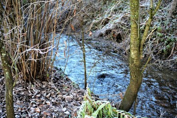 Wasser