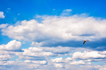 blue sky with clouds