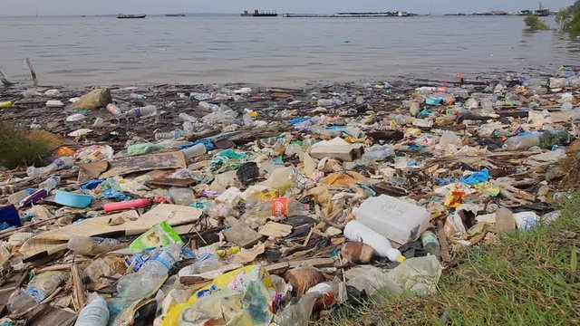 Plastic bottles, bags, straws and cups pollute beach and ocean 