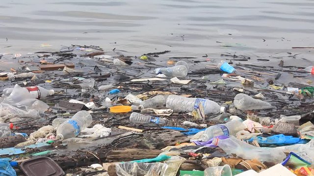 Plastic bottles, bags, straws and cups pollute beach and ocean