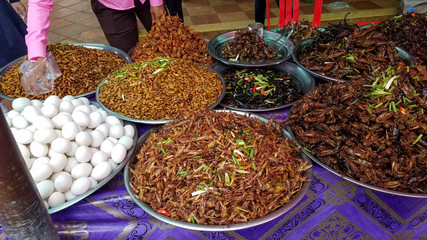 Fried Insects at the Market