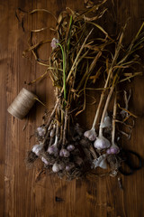 Rich harvest of organic garlic, food top view