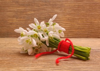 Snowdrops isolated on wooden background