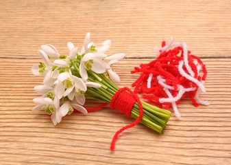 Snowdrops isolated on wooden background