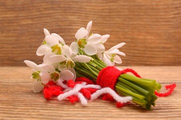 Snowdrops isolated on wooden background