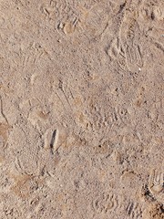 Form, texture source for graphic editing