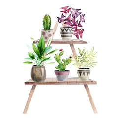 Arrangement with handpainted watercolor houseplants. green plants in pots for interior. Backdrop best for scrapbooking, wrapping paper, wallpaper, textile, fabric, design interior