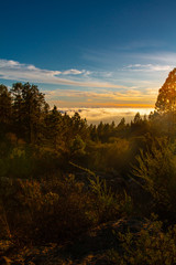 Sunset over the clouds in the mountains with trees, with copy space.
