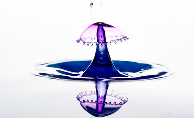 Water splash. drops collision