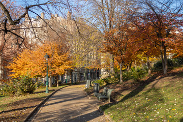 Naklejka premium A beautiful park for a walk with colorful trees and sitting areas