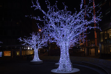 Sparkling decoration with lights on the trees for celebrating a festival/occasion