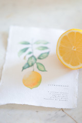 Décoration & art de la table - thème citron et fraîcheur d'été