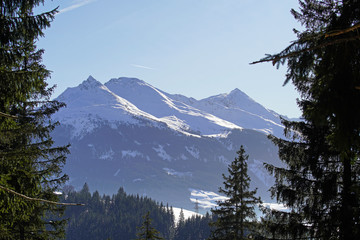 beautiful winter landscape in the alps with fresh snow on a sunny day with clear blue sky