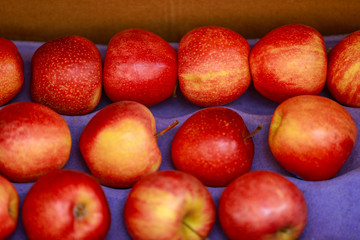A bunch of whole ripe apple in fruit market 