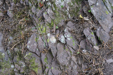 Shale Sedimentary Rock. Shale is a laminated or fissile clastic sedimentary rock that composed of predominance of silt and clay other minerals , especially quartz and calcite.