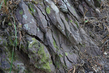 Shale Sedimentary Rock. Shale is a laminated or fissile clastic sedimentary rock that composed of predominance of silt and clay other minerals , especially quartz and calcite.