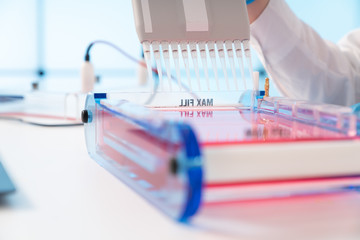 Loading Samples and Running an Agarose Gel for electrophoresis, Gel electrophoresis is the standard lab procedure for separating DNA