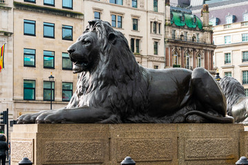 Bronze sculpture of a lion in Trafalgar Square in London