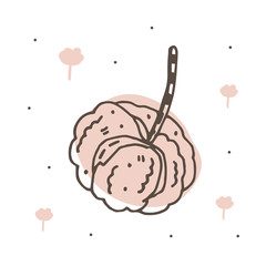Cotton flower doodle vector illustration, sketch. Herbs. Organic ingredients. Eco friendly, vegan.  Sticker, icon.