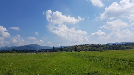 Fototapeta na wymiar green field and blue sky in Slovenia