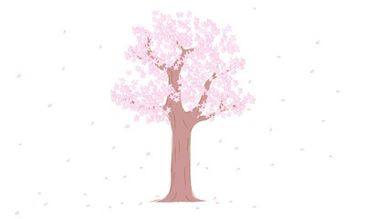 桜の木と桜吹雪