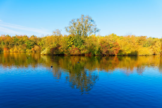 Across the mirror surface of a small lake to a shore lined with trees dressed in autumnal colours.