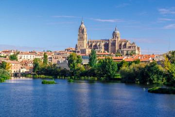 Salamanca Cathedral and cityscape over Tormes river. Salamanca, Spain.