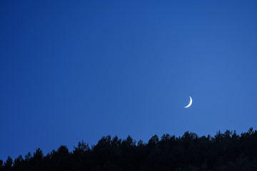 thin crescent moon in the blue sky of the twilight