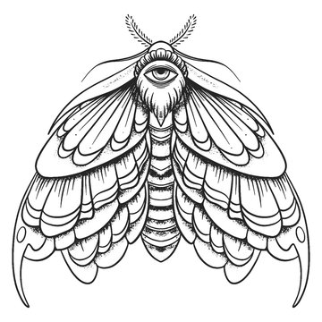 recommend clip art: Eyed hawk-moth illustration, drawing, engraving, ink, line art, vector