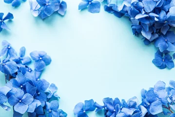 Schilderijen op glas Blue hydrangea flowers © Olena Rudo