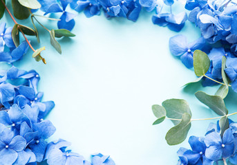 Fototapeta na wymiar Blue hydrangea flowers