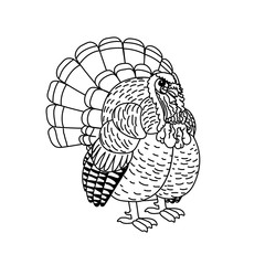 vector line cartoon animal clip art