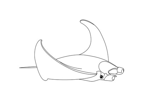 black and white manta ray outline clip art preview