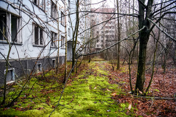 Abandoned ghost town Prypiat. Overgrown trees and collapsing buildings in Chornobyl exclusion zone....