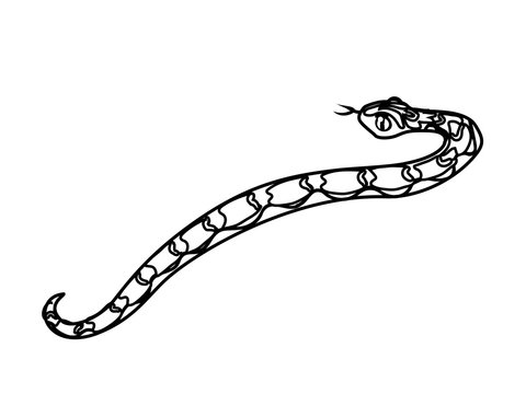 vector line cartoon animal clip art