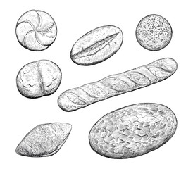 Various bread type - drawing of bakery products - hand sketch of bread. 