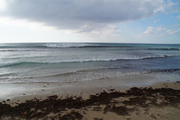 waves on the beach