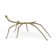 vector cartoon insect clip art