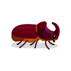 vector cartoon insect clip art