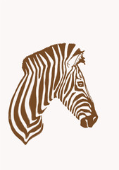 Fototapeta na wymiar Graphical vintage portrait of zebra , vector sepia illustration