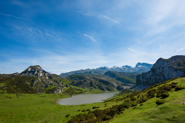 Ercina lake in Picos de Europa national park in Asturias Spain
