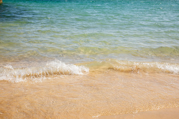 Fishes swimming close to a beach  Blue sea wave, white foam, golden sand beach, turquoise ocean water close up, tourist travel  summer holidays border frame concept, tropical island vacation backdrop