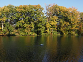 Scenery of trees and lake at Wilanow park in Warsaw, Poland