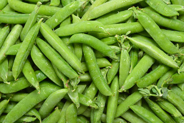 Fresh pea pods as background. Top view.