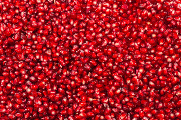 Christmas decoration, red ball isolated on white background.